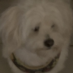 Meet your Posher, Raymond